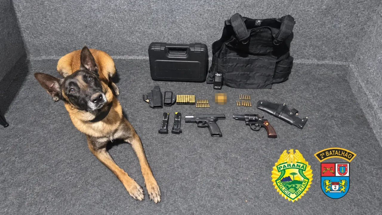 Cão policial ao lado de armas, munições, colete e equipamentos apresentados na divulgação da operação em Jacarezinho.